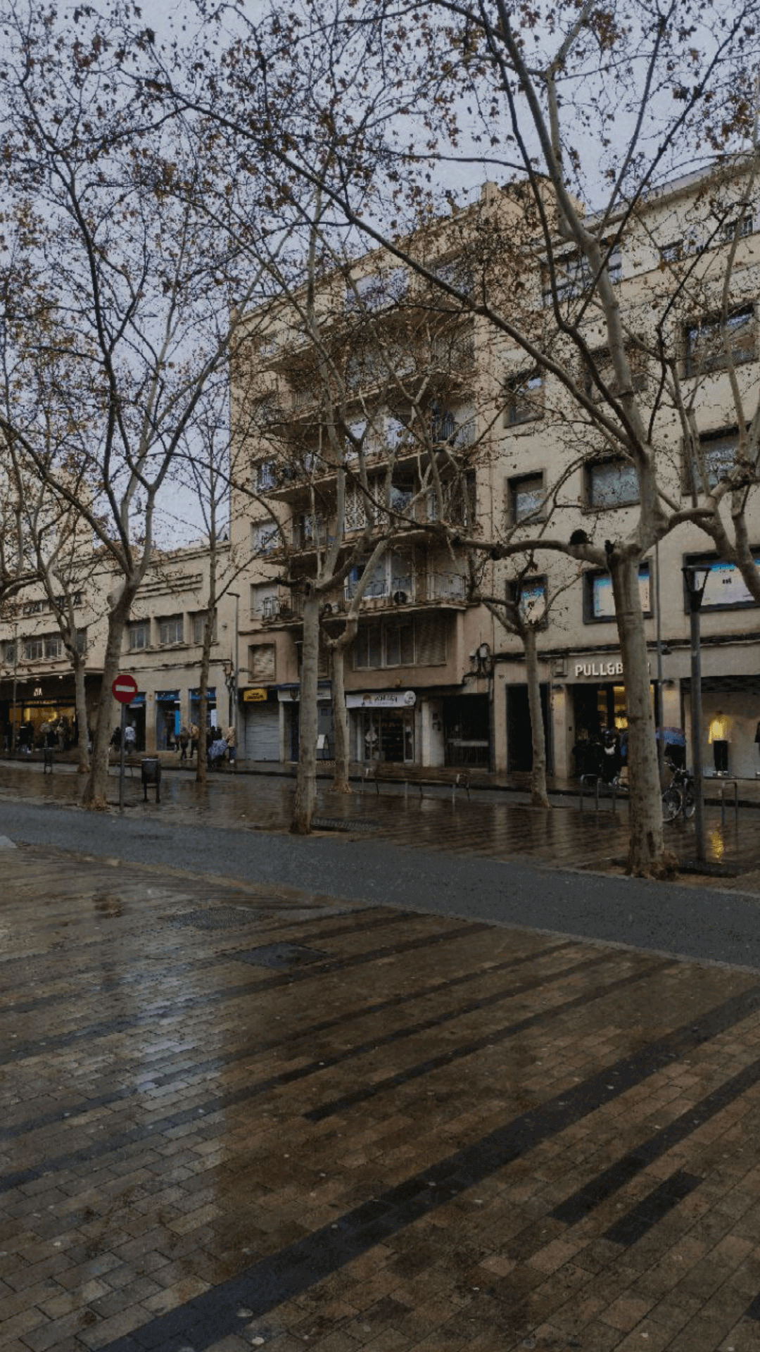 Proceso de creación de la web